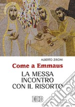 Come a Emmaus. La Messa incontro con il Risorto libro