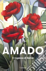 Il ragazzo di Bahia libro