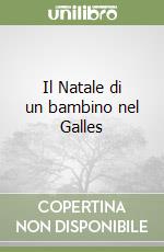 Il Natale di un bambino nel Galles libro