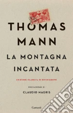 La montagna incantata libro