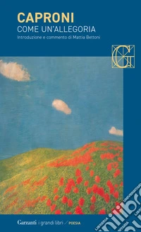 Come un'allegoria libro