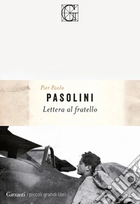 Lettera al fratello libro