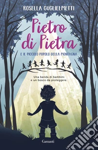 Pietro di Pietra e il piccolo popolo della montagna libro