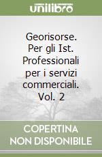 Georisorse. Per gli Ist. Professionali per i servizi commerciali. Vol. 2 libro