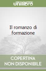 Il romanzo di formazione libro