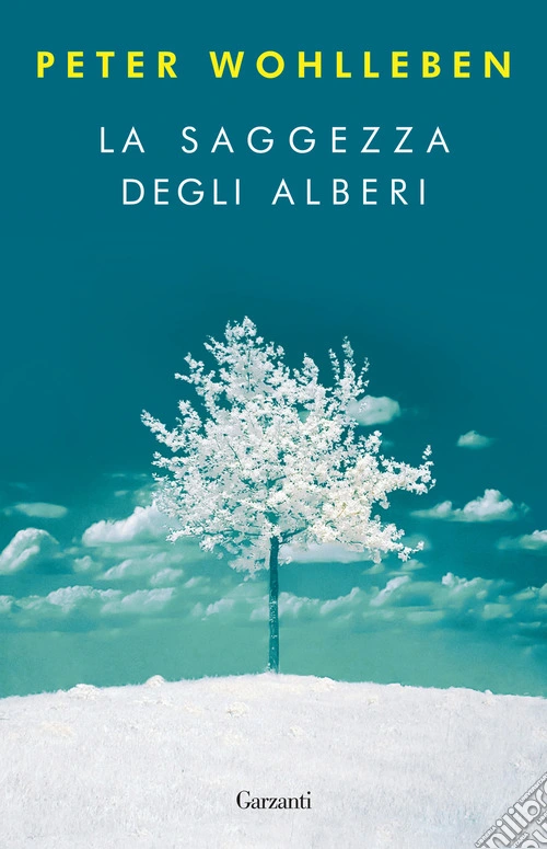 La saggezza degli alberi