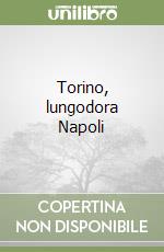 Torino, lungodora Napoli libro