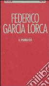 Pubblico, Il libro