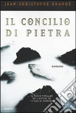 Il concilio di pietra libro