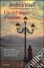 Un bel sogno d'amore libro usato