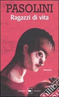 Ragazzi di vita libro