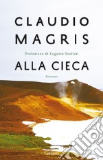 Alla cieca libro