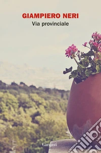 Via provinciale