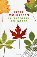 La saggezza del bosco