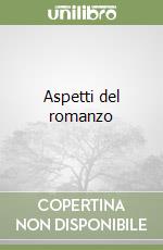 Aspetti del romanzo