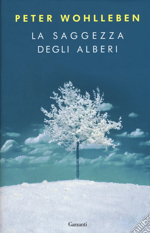 La saggezza degli alberi