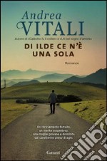 Di Ilde ce n'è una sola libro