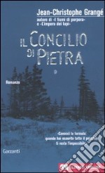 Il concilio di pietra libro