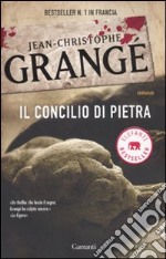 Il Concilio di pietra libro