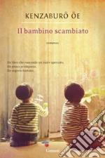 Il bambino scambiato libro