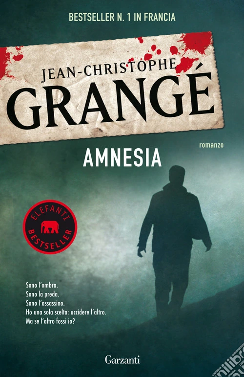 Amnesia