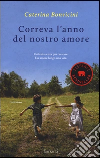 Correva l'anno del nostro amore libro
