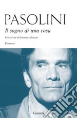 Il sogno di una cosa libro