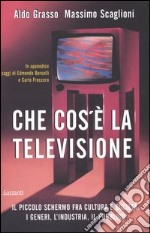 Che cos'è la televisione. Il piccolo schermo fra cultura e società: i generi, l'industria, il pubblico libro