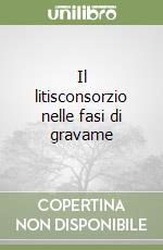 Il litisconsorzio nelle fasi di gravame libro