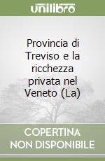 Provincia di Treviso e la ricchezza privata nel Veneto (La) libro