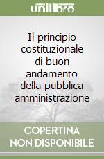 Il principio costituzionale di buon andamento della pubblica amministrazione libro