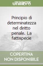 Principio di determinatezza nel diritto penale. La fattispecie libro