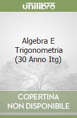 Algebra E Trigonometria (30 Anno Itg) libro