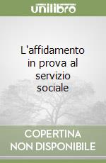 L'affidamento in prova al servizio sociale libro