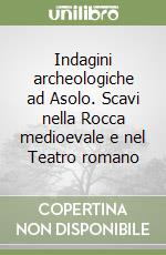 Indagini archeologiche ad Asolo. Scavi nella Rocca medioevale e nel Teatro romano libro