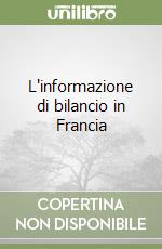 L'informazione di bilancio in Francia