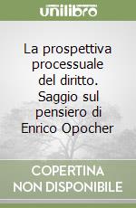 La prospettiva processuale del diritto. Saggio sul pensiero di Enrico Opocher libro