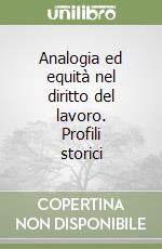 Analogia ed equità nel diritto del lavoro. Profili storici libro