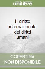 Il diritto internazionale dei diritti umani libro