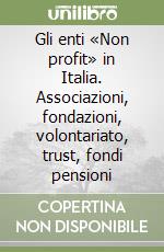 Gli enti «Non profit» in Italia. Associazioni, fondazioni, volontariato, trust, fondi pensioni libro