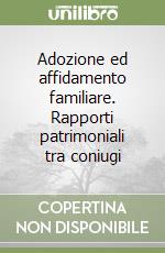 Adozione ed affidamento familiare. Rapporti patrimoniali tra coniugi libro