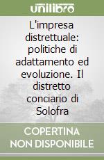 L'impresa distrettuale: politiche di adattamento ed evoluzione. Il distretto conciario di Solofra libro