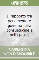 Il rapporto tra parlamento e governo nella consuetudine e nella prassi libro