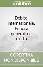 Debito internazionale. Principi generali del diritto libro