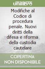 Modifiche al Codice di procedura penale. Nuovi diritti della difesa e riforma della custodia cautelare libro