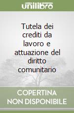 Tutela dei crediti da lavoro e attuazione del diritto comunitario libro