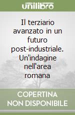 Il terziario avanzato in un futuro post-industriale. Un'indagine nell'area romana libro