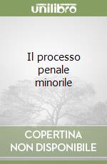 Il processo penale minorile