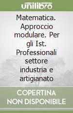 Matematica. Approccio modulare. Per gli Ist. Professionali settore industria e artigianato (3) libro