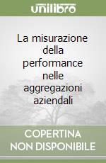 La misurazione della performance nelle aggregazioni aziendali libro